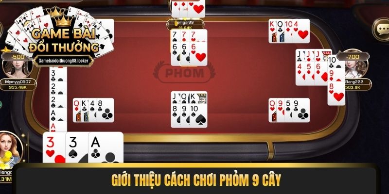 Giới thiệu cách chơi phỏm 9 cây
