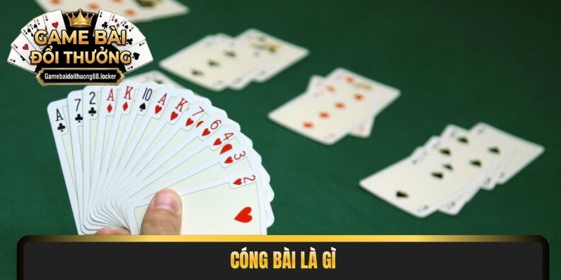 cóng bài là gì