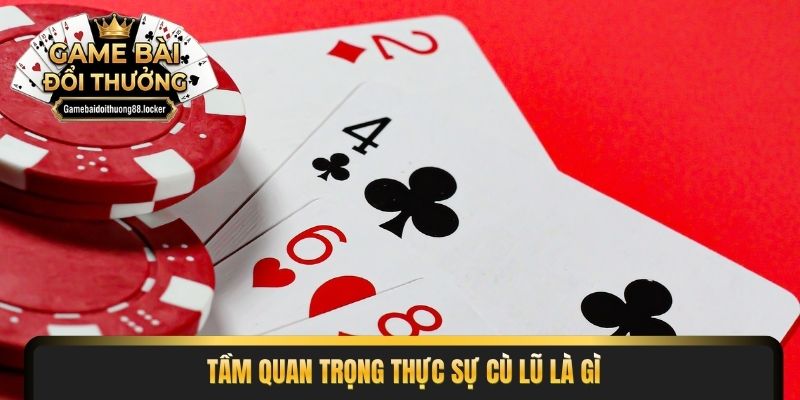Tầm quan trọng thực sự cù lũ là gì
