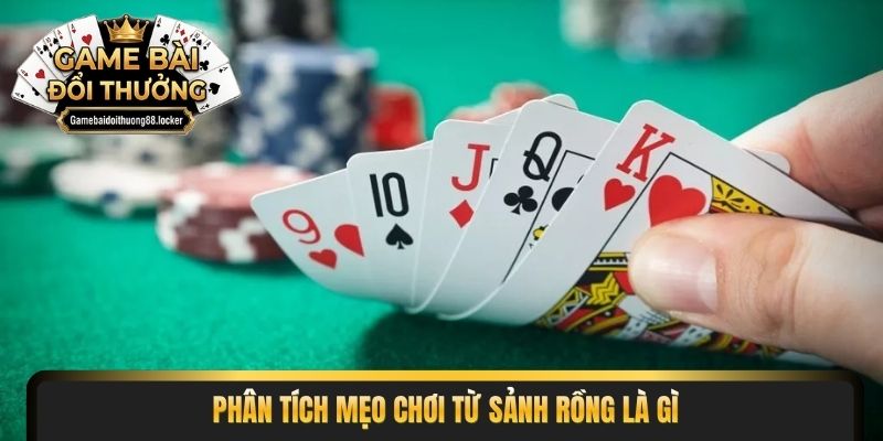 Nhận diện đặc điểm sảnh rồng là gì