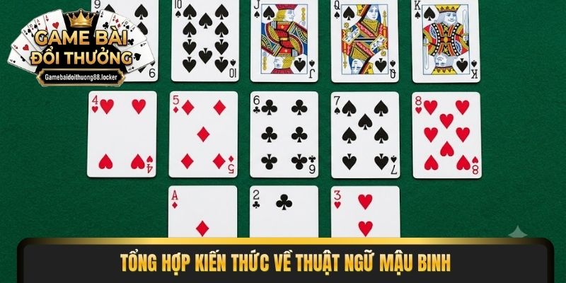 Tổng hợp kiến thức về thuật ngữ mậu binh