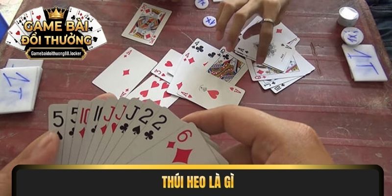 thúi heo là gì