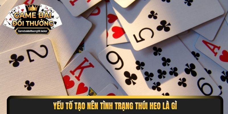 Yếu tố tạo nên tình trạng thúi heo là gì
