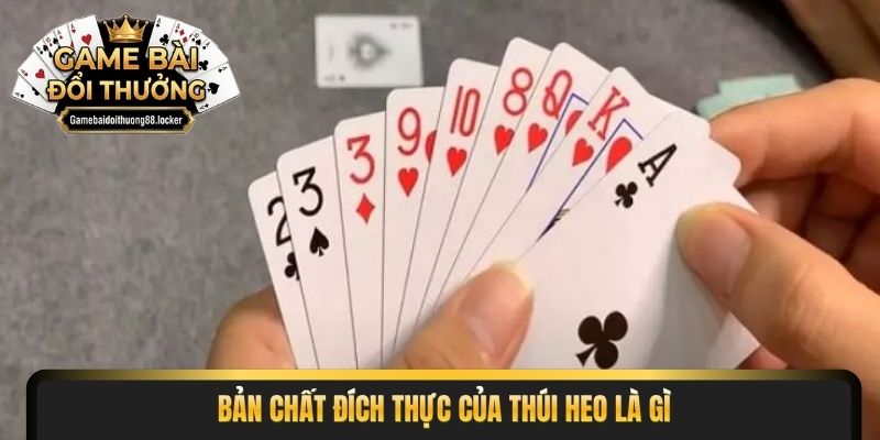 Bản chất đích thực của thúi heo là gì