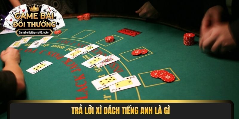 Trả lời xì dách tiếng anh là gì